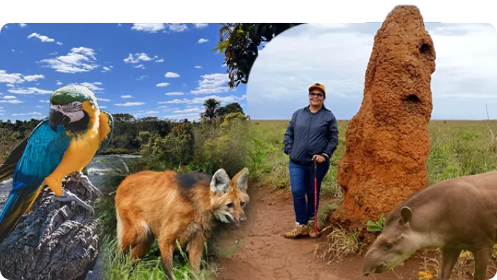 Guia Teodora Stang no Parque Nacional das Emas, com Arara, Anta, Lobo Guara, Rio e Paisagem